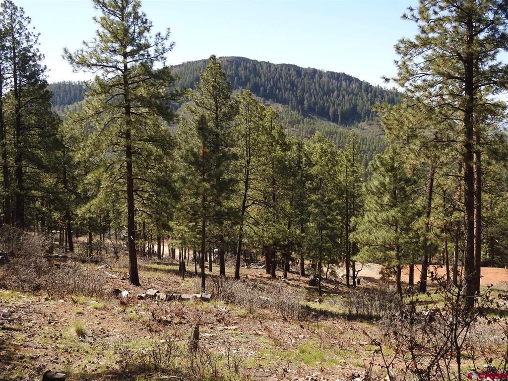 1142 Deer Ridge Drive