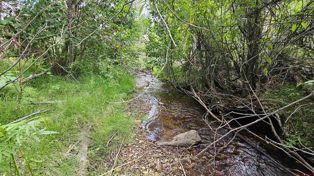 Photo 1 of 32 — 175 Bear Cub Hollow, South Fork, CO 81154