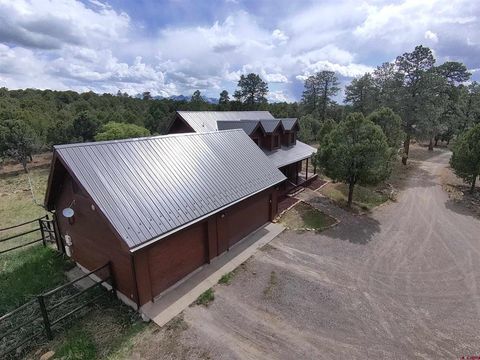 1010 Canyon Drive Ridgway CO 81432