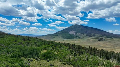 8002 County Road 887 Road Gunnison CO 81230