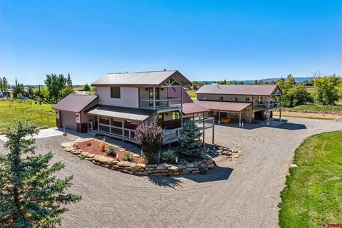64 Summer Lane Durango CO 81303