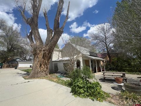 Photo of 246 E Bridge Street, Hotchkiss, CO 81419 (MLS # 834316)