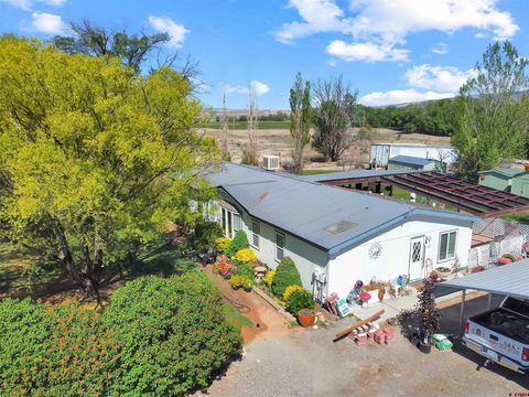 Photo of 5955 Sawmill Mesa Road, Delta, CO 81416 (MLS # 834580)