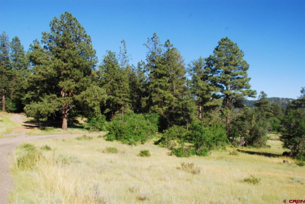 X US Hwy 84 #116