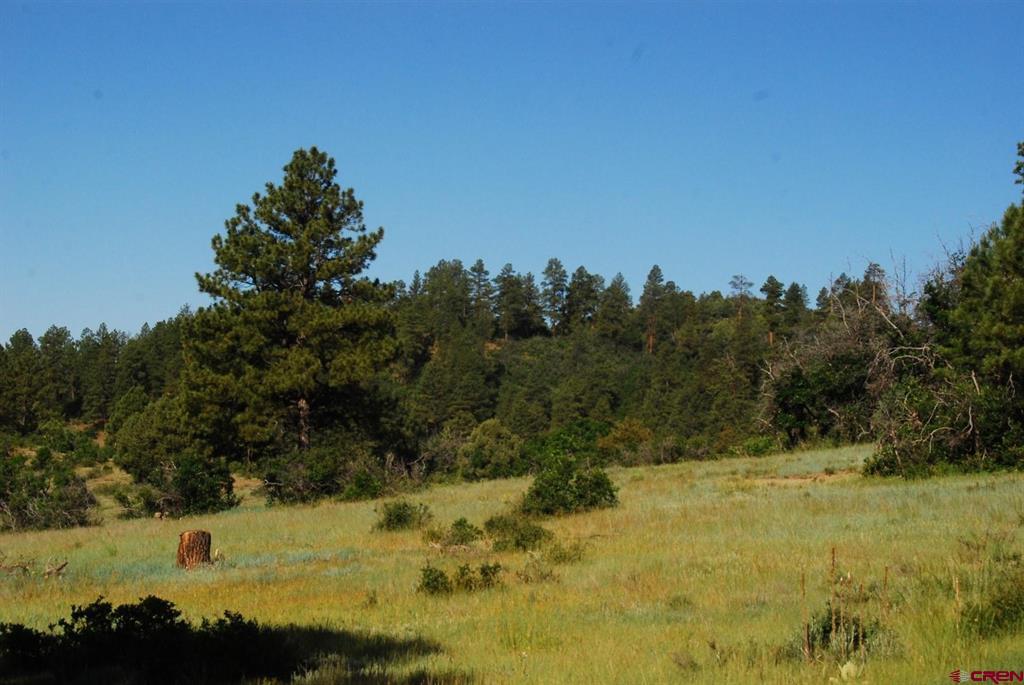 X US Hwy 84 #116
