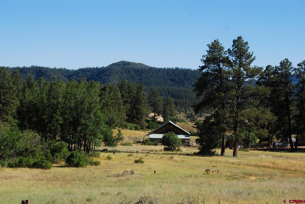 X US Hwy 84 #116