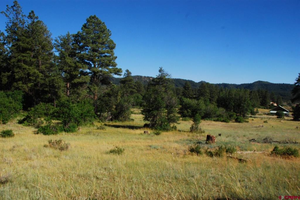 X US Hwy 84 #116
