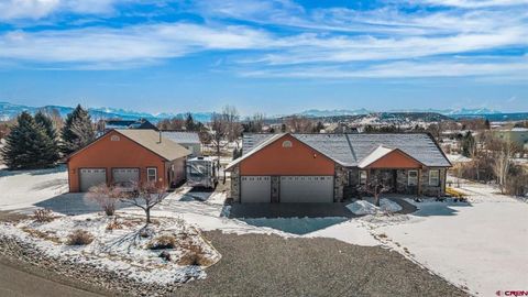 Photo of 20520 Tulip Circle, Montrose, CO 81403 (MLS # 831371)