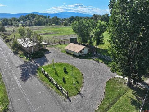Photo of 65836 Otter Road, Montrose, CO 81401 (MLS # 834064)