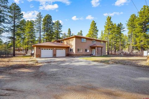 14071 Road 37 Mancos CO 81328