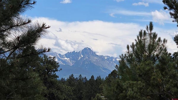 118 PIKA LN, RIDGWAY, CO 81432 - Image 9b78b82f606cb0b00a9b91787df3a858/4186177614