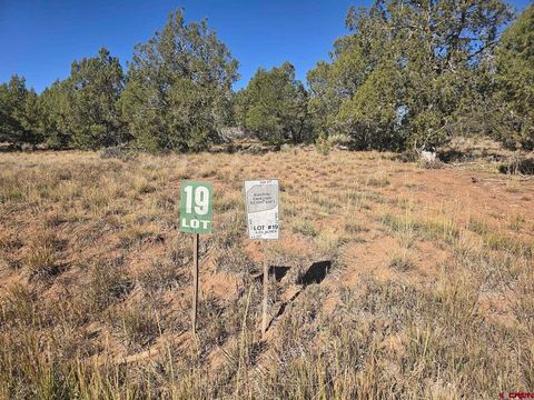 134 Rawhide Road Durango CO 81303