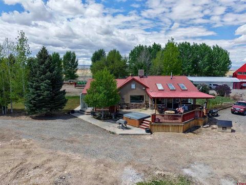 Photo of 3998 5500 Road, Olathe, CO 81425 (MLS # 833780)