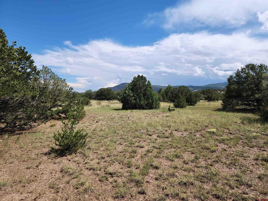 Photo 1 of 7 — 0 Loveland Road, South Fork, CO 81154