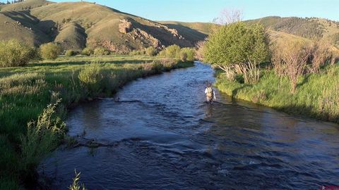 64106 Highway 50 Gunnison CO 81230