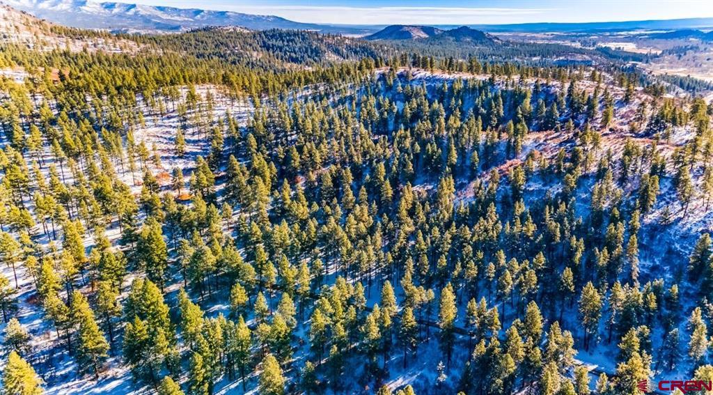 TBD Lot 11 Beaver Creek Drive