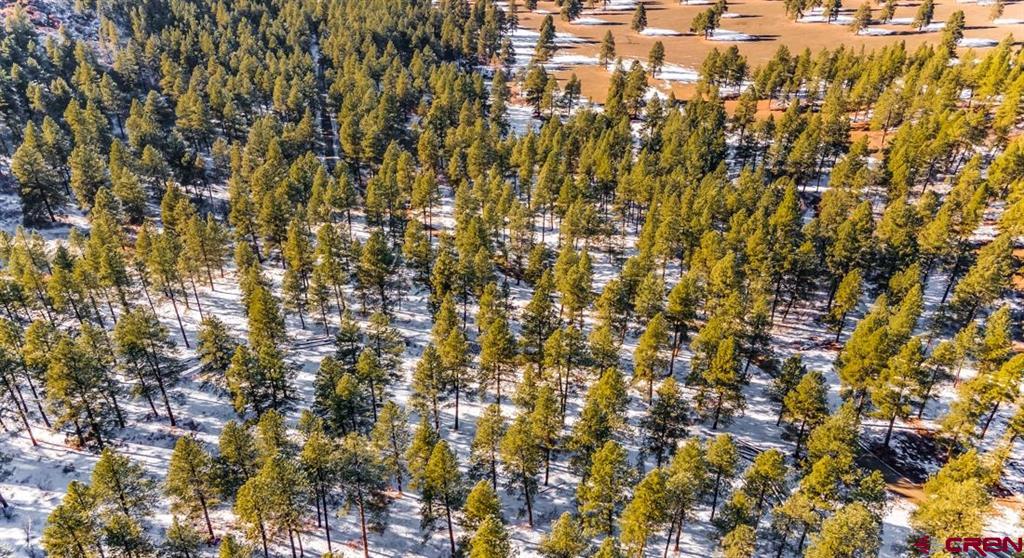 TBD Lot 11 Beaver Creek Drive