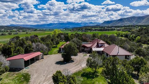 40926 Road J Mancos CO 81328