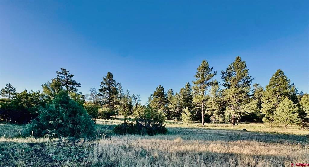 3898 N Pagosa Boulevard