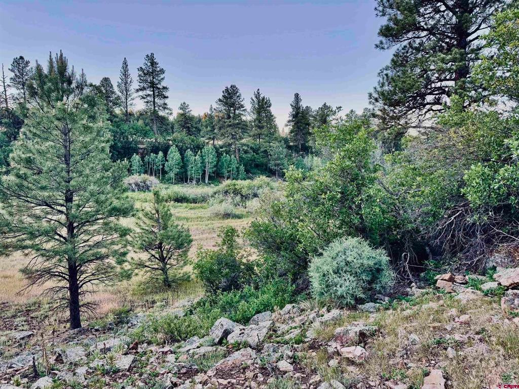 3898 N Pagosa Boulevard