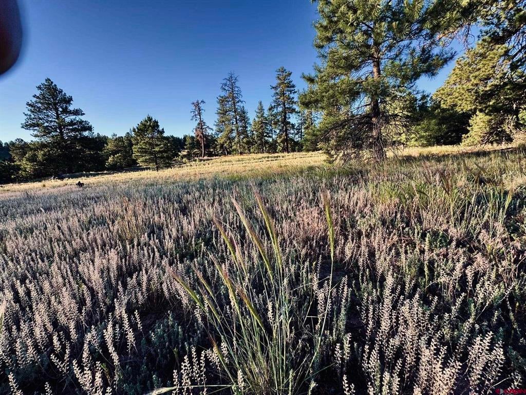 3898 N Pagosa Boulevard