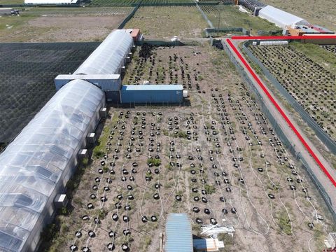 910 Silver Lane Moffat CO 81143