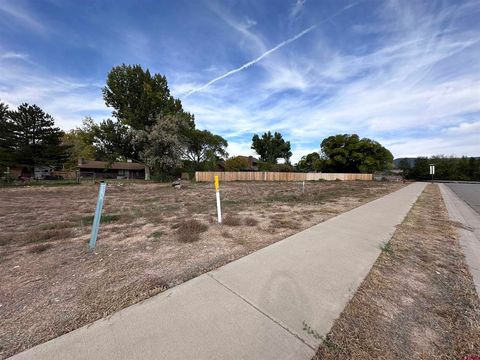 Photo of TBD Juniper, Hotchkiss, CO 81419 (MLS # 834163)