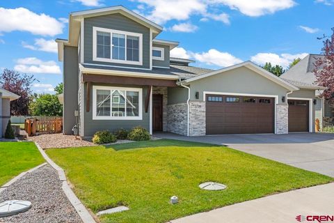 3739 Buffalo Lane Montrose CO 81403