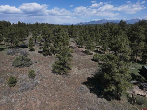 233 Martinez Place Pagosa Springs CO 81147