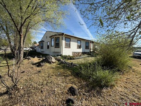 Photo of 205 NW 5th St, Cedaredge, CO 81413 (MLS # 832987)