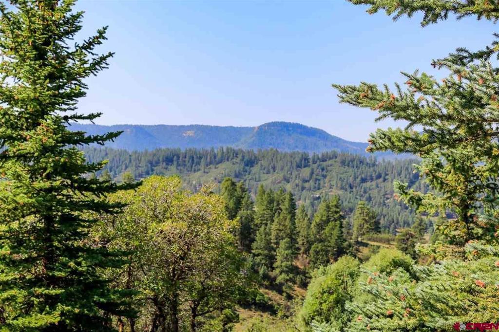 2613 Running Horse Place