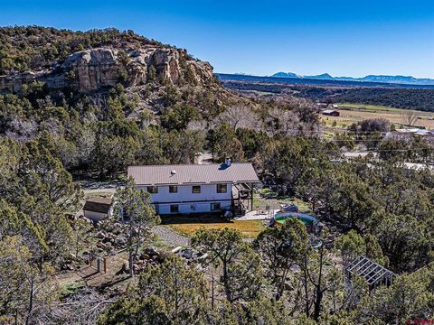 Photo of 18697 Ward Creek Road, Cedaredge, CO 81413 (MLS # 832264)
