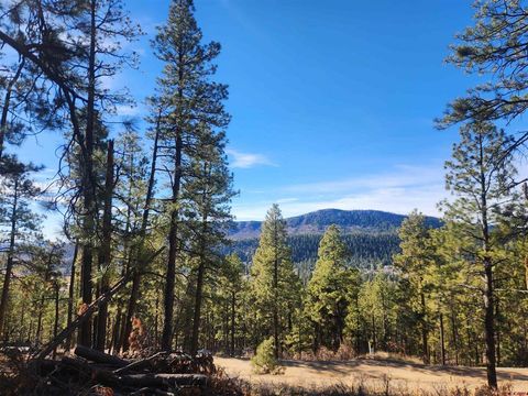 259 Deer Ridge Drive Bayfield CO 81122