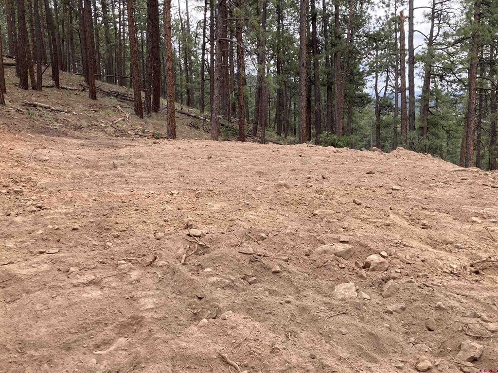 259 Deer Ridge Drive