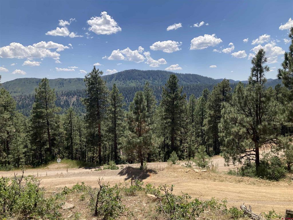 259 Deer Ridge Drive