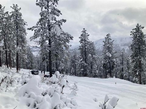 259 Deer Ridge Drive Bayfield CO 81122