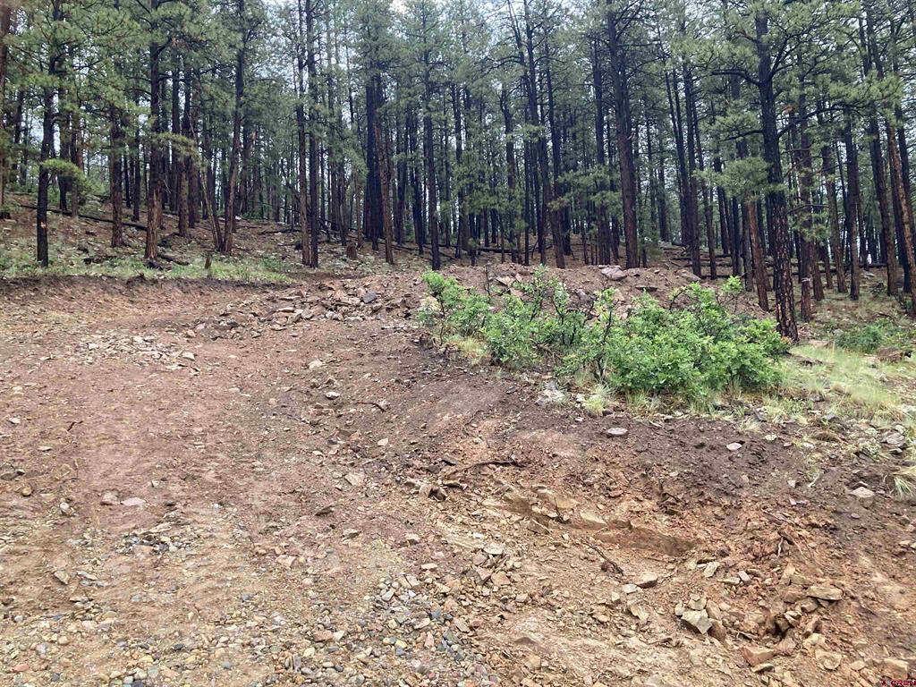 259 Deer Ridge Drive