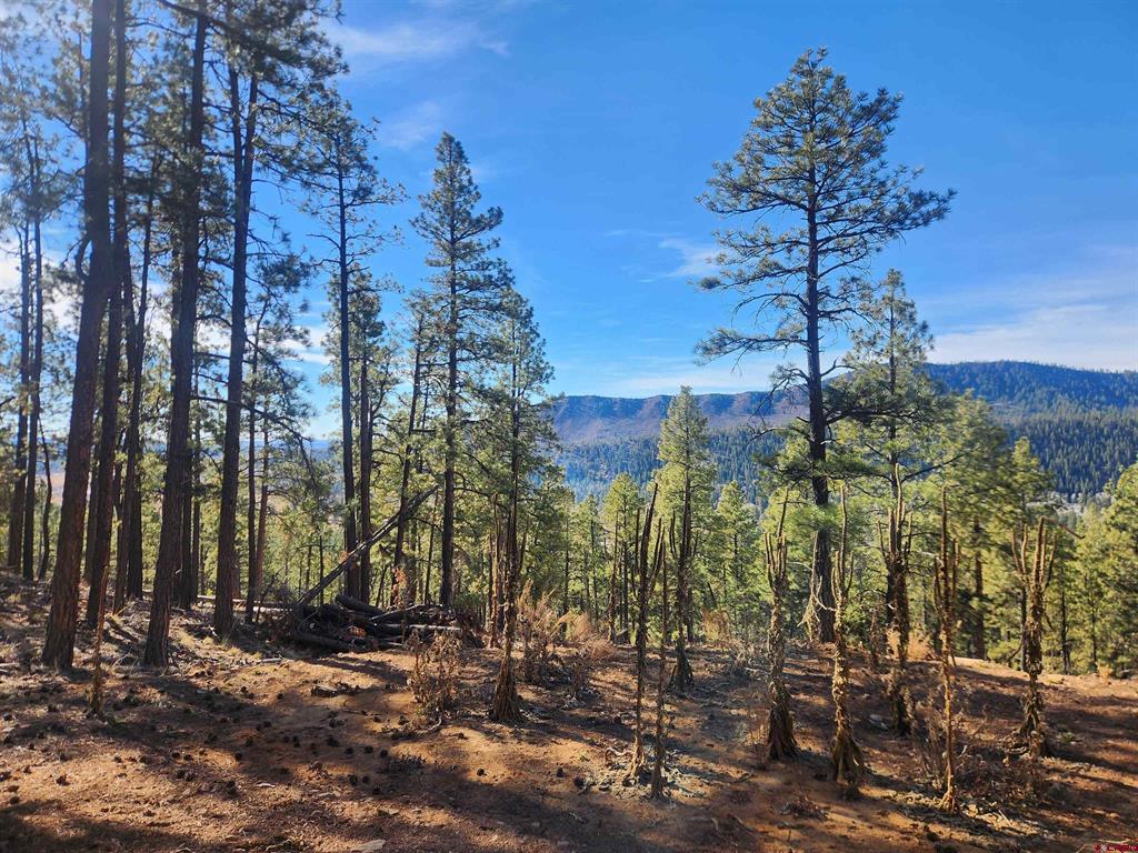 259 Deer Ridge Drive