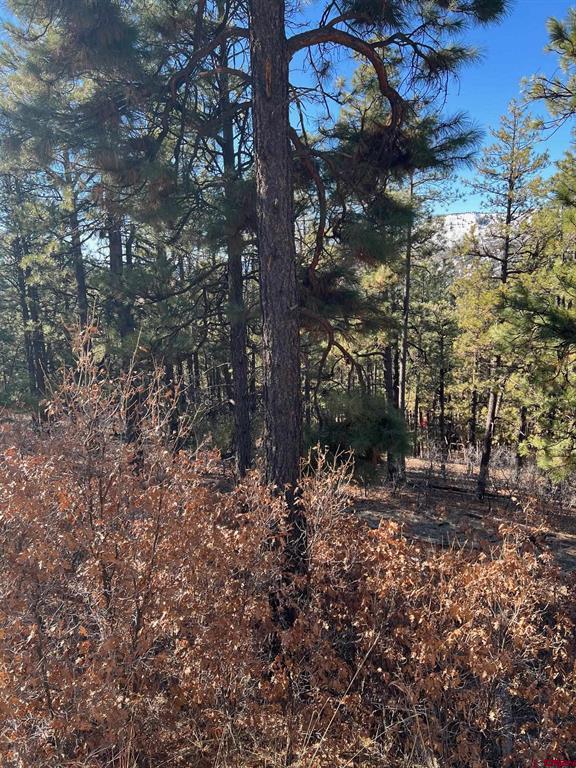 238 Deer Ridge Drive