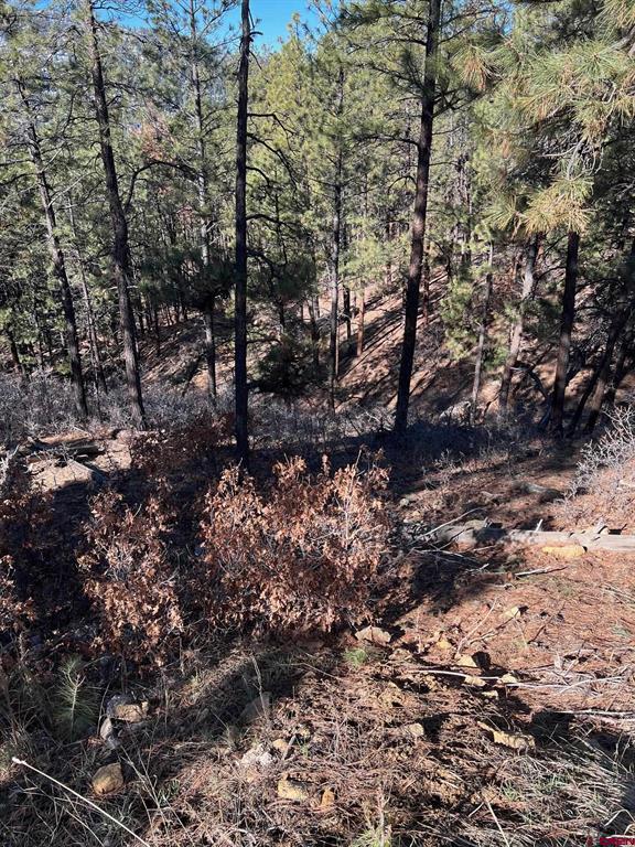 238 Deer Ridge Drive