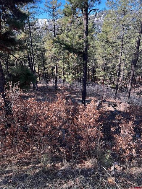 238 Deer Ridge Drive Bayfield CO 81122