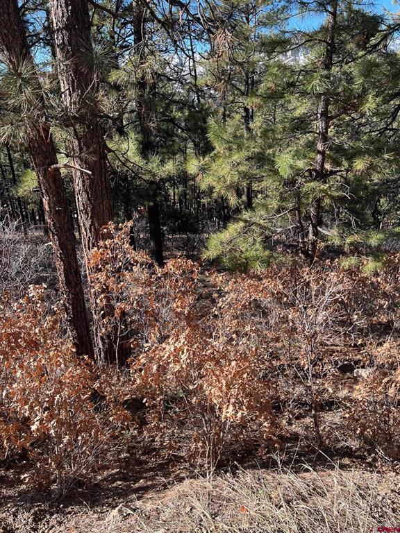 238 Deer Ridge Drive