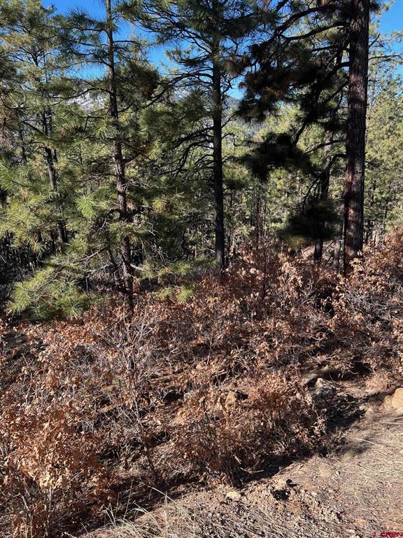 238 Deer Ridge Drive