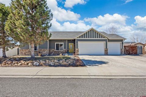 Photo of 3341 Meadows Parkway, Montrose, CO 81401 (MLS # 832503)