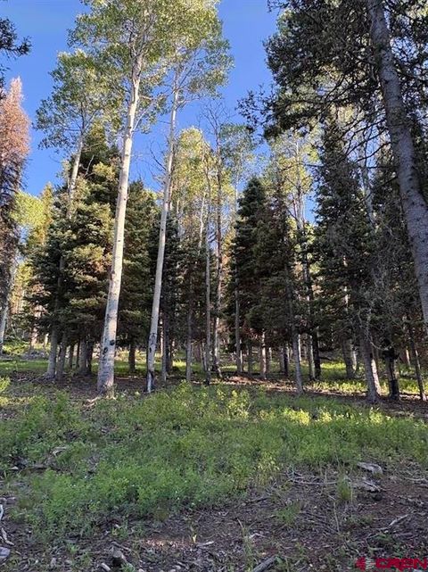 Photo of 447 Ute Drive, Cimarron, CO 81220 (MLS # 834300)