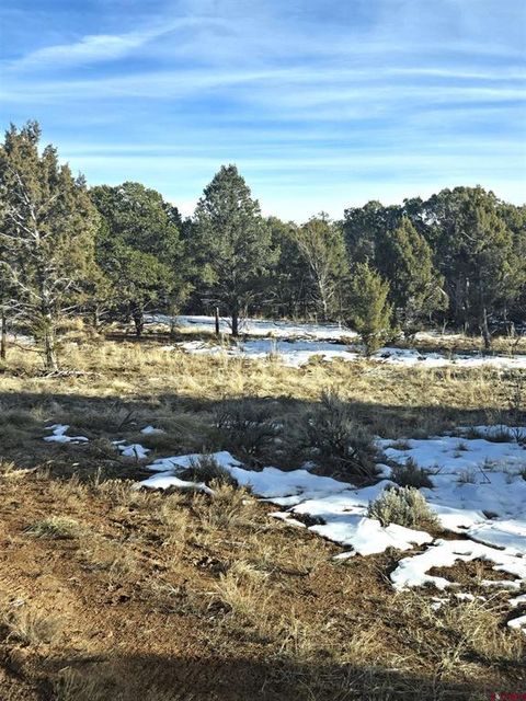 Photo of 751 Mourning Dove Trl, Norwood, CO 81423 (MLS # 830466)