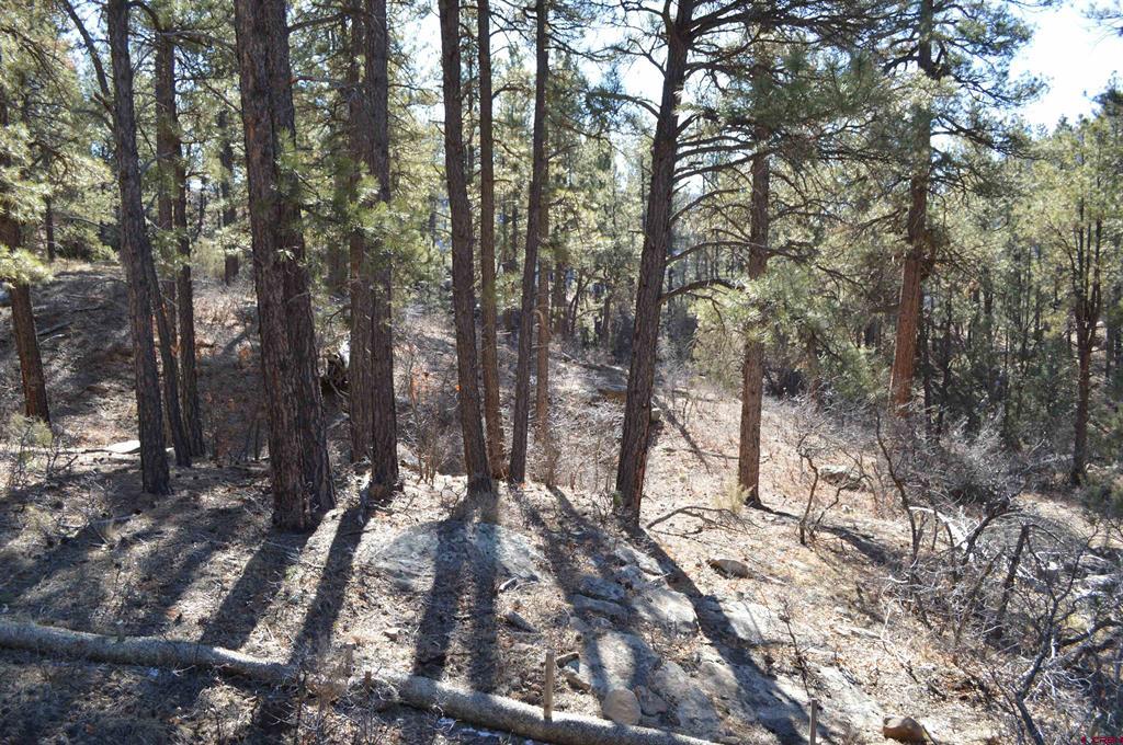 46 Avalanche Lily Dr. (Lot 131)