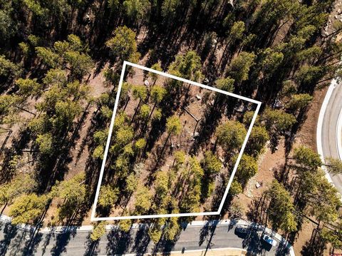 46 Avalanche Lily Dr. (Lot 131) Durango CO 81301
