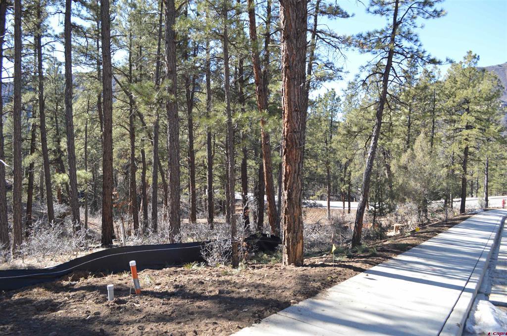 46 Avalanche Lily Dr. (Lot 131)