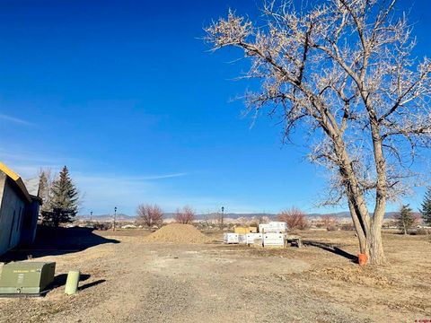 Photo of 1106 Bridges Loop, Montrose, CO 81401 (MLS # 830465)